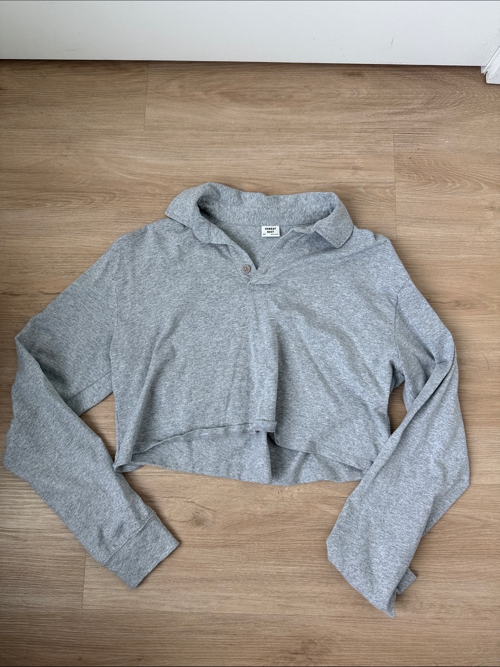 Aritzia Heather Gray Cropped Polo Hoodie